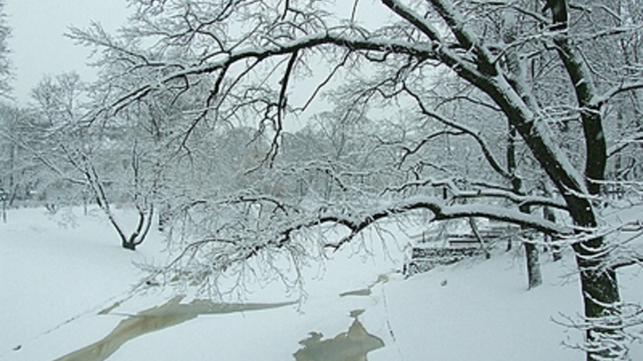 В Самарской области ожидается первый снег