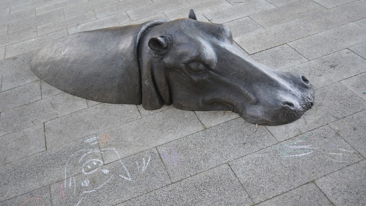 Ушная сера предупредит о диабете: Учёные нашли связь ушей почти со всеми органами человека