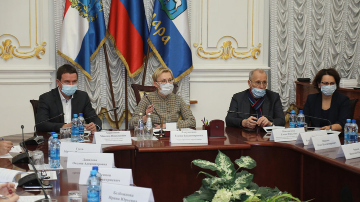 Глава Самары Елена Лапушкина соизволила надеть маску