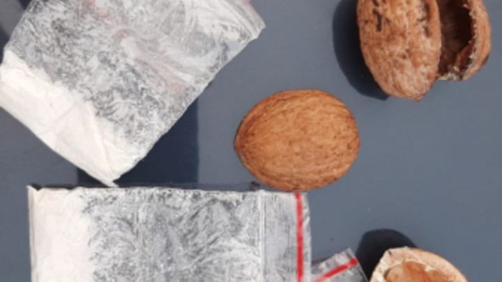 В Краснодаре житель Башкирии спрятал в скорлупе грецких орехов наркотики