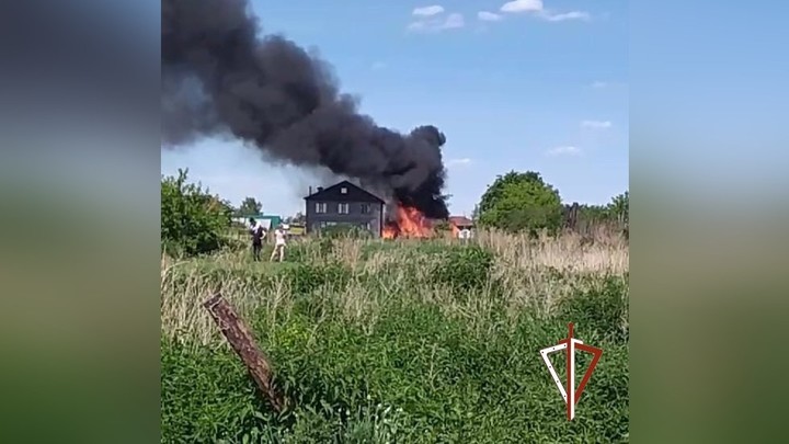 В Челябинской области на пожаре спасли семерых щенков