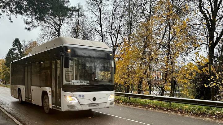 «Уличный, вкусный, искусный»: На чём можно доехать до главных локаций праздника в Подмосковье