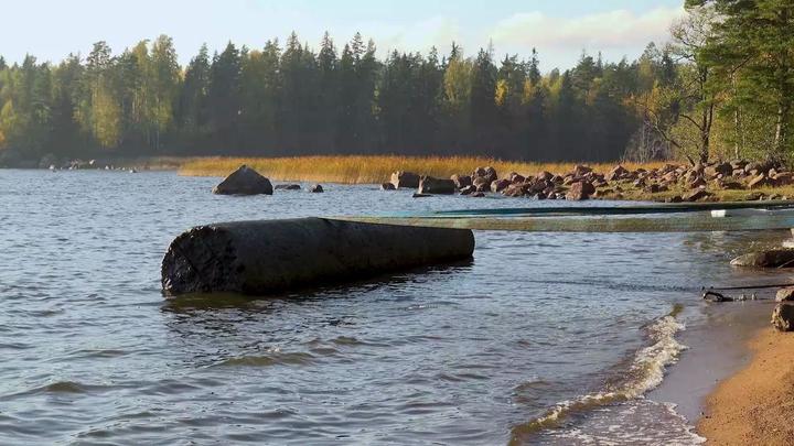 Водолазы достали из Выборгского залива затонувшие колонны Казанского собора