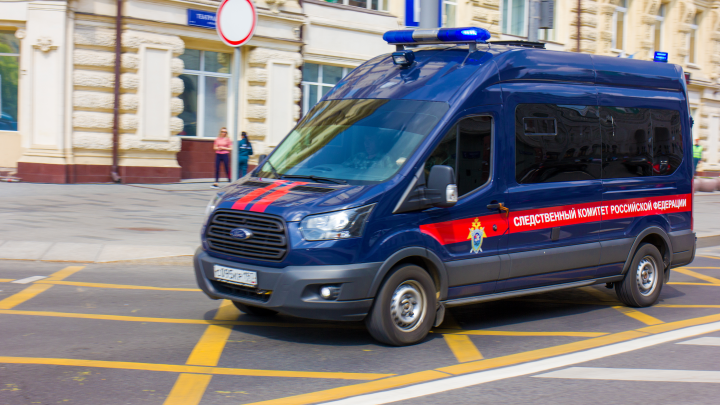 Лерчек обвинила правоохранителей в том, что они подорвали её здоровье. Дело дошло до заявления в СК