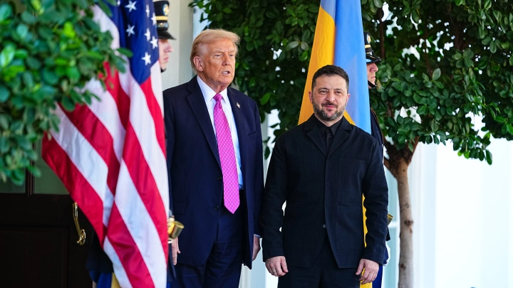 Аналитик Браун отметила подобострастное отношение Зеленского к Дональду Трампу