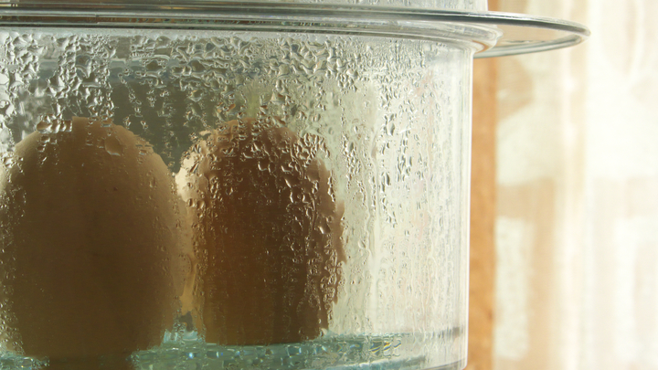 Правительство дало сбой: Путин признал ошибку. Помогли яйца