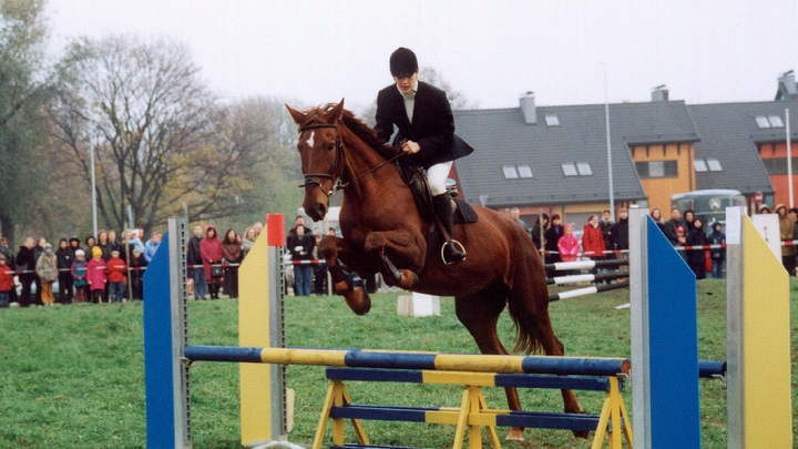 Лошади умные, но не привязываются, как собаки. Чемпион конного спорта рассказала о работе с этими животными