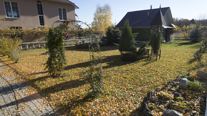 Обитает повсюду: Врач рассказал о смертельной опасности на даче