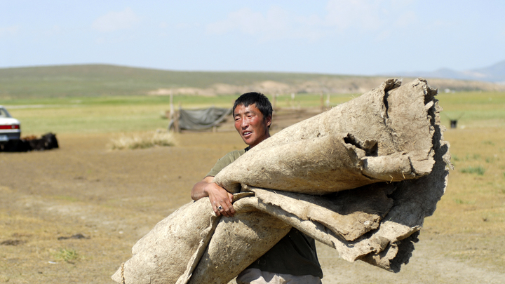 Повод для беспокойства? В соседней с Россией стране проснулась чума