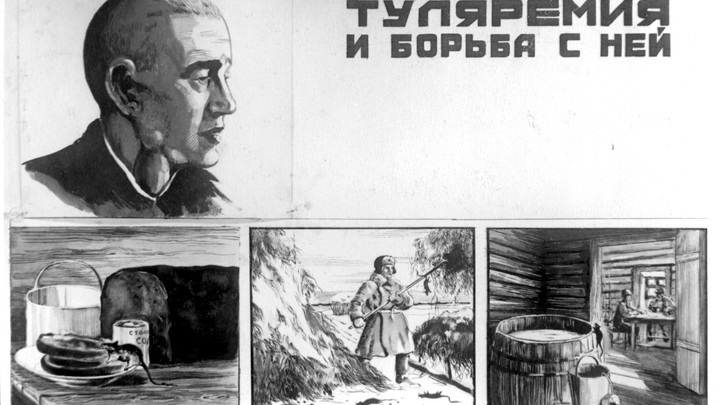Жителей Петербурга предупредили о риске заболеть туляремией: как уберечь себя и близких