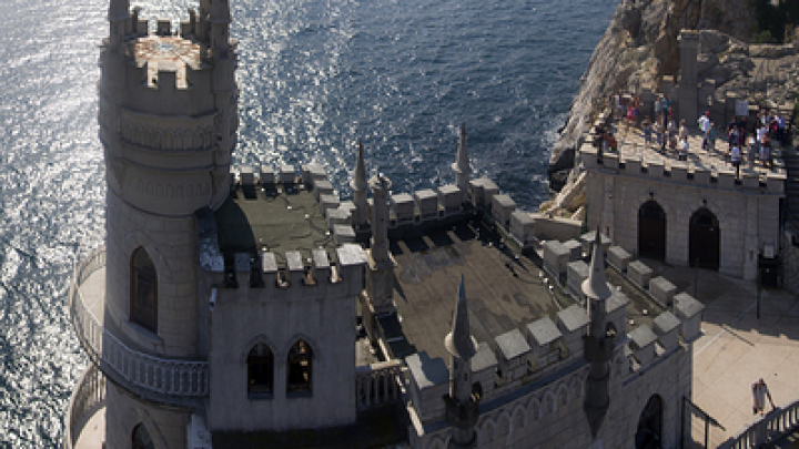 Зоозащитники нашли живой кошку Мусю, выброшенную со 40-метровой скалы в Крыму