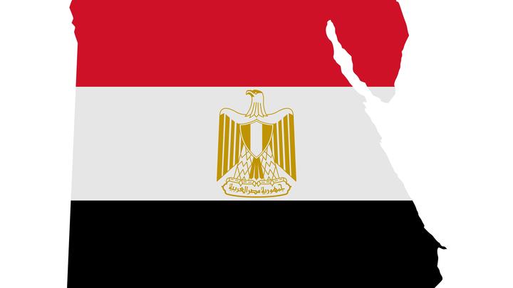 Окно на Ближний Восток и в Северную Африку: Министр назвал преимущества от вступления Египта в БРИКС