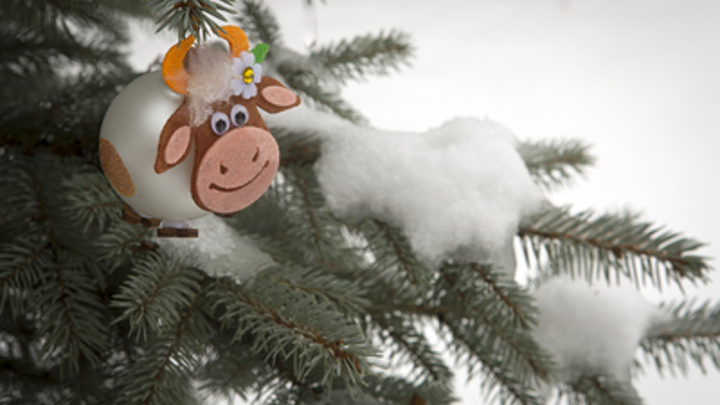 Врач признал опасными резкое похолодание и расчистку снега