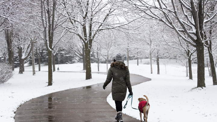Метель в апреле: В Москве снежно - фото