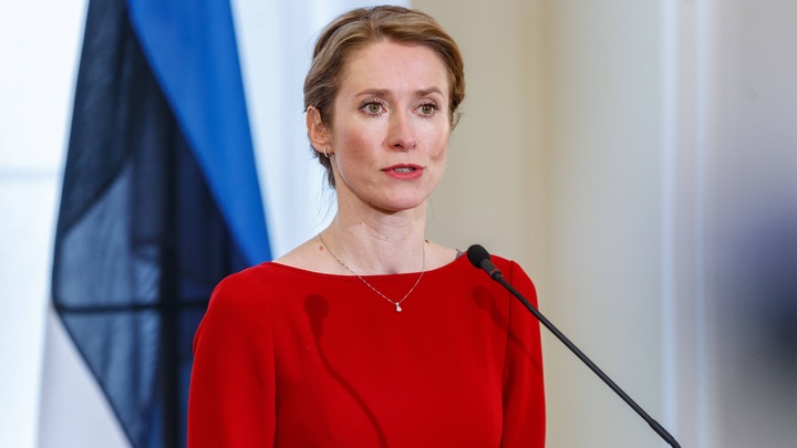 Бросить все силы НАТО! Премьер Эстонии придумала оправдание для тотальной травли русских