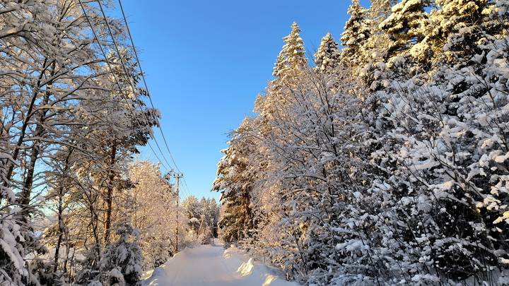 Какая погода будет на Крещение? Синоптики дали неожиданный прогноз