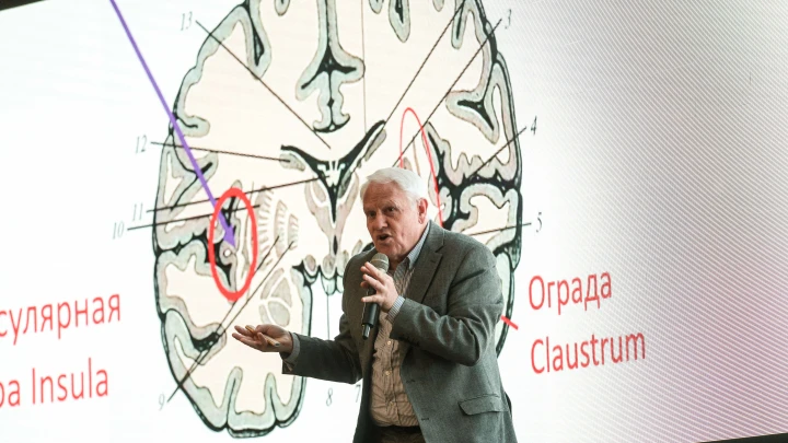 Ученые сняли все сомнения: мышление начинает ухудшаться в 44 года
