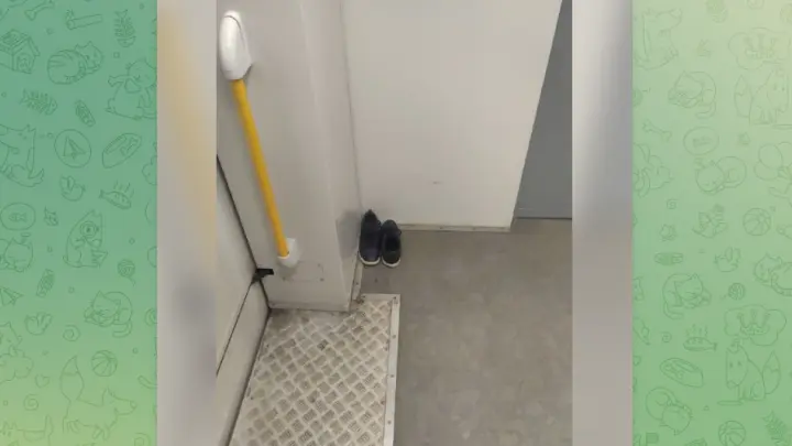 Босиком по вагону: кроссовки в электричке Балашиха-Москва стали мемом