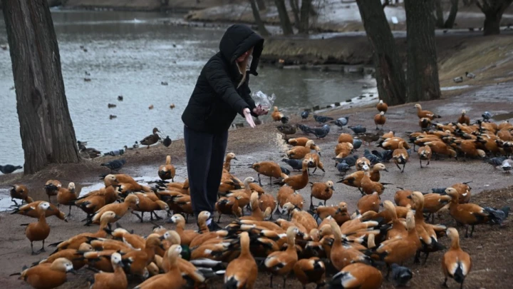В столице усиливают контроль за состоянием водоохранных зон