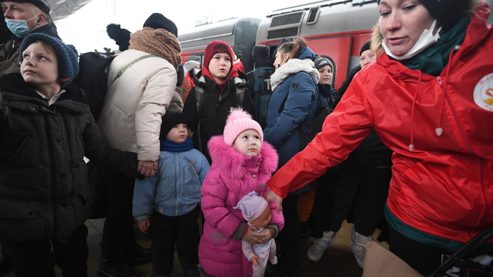 Губернатор Подмосковья вручил 14 детям из ДНР документы о российском гражданстве