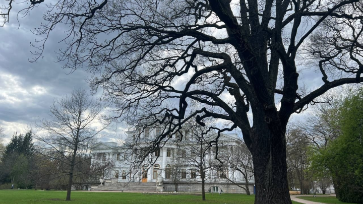 Всемирнй день поэзии: поздравления в прозе и стихах