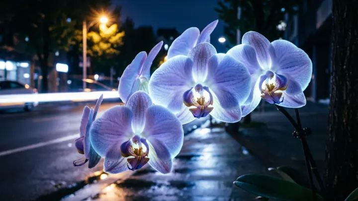 Живые фонари: Китайские учёные превращают растения в ночное освещение