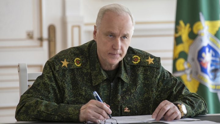 Бастрыкин поручил разобраться со случаем нападения бездомных собак на прохожего в Краснодаре
