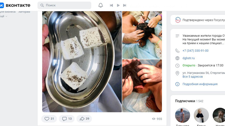 В Башкирии из атакованных пчёлами братьев вытащили 465 жал