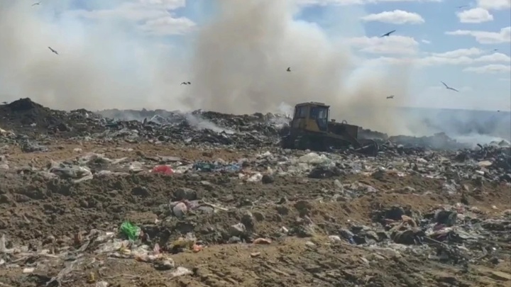 Пожар на мусорном полигоне в Новосибирске отнесли к экологическим преступлениям