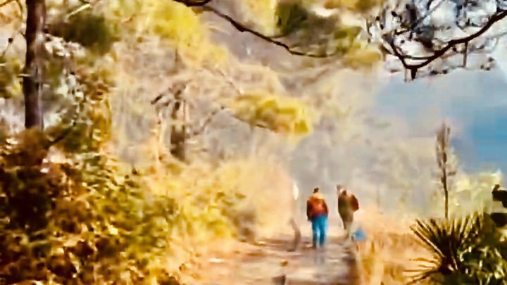 Лесной пожар в Голубой Бухте полностью потушили