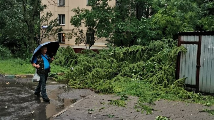 Сильный ветер в Ивановской области лишил света более 8000 человек в 8 районах