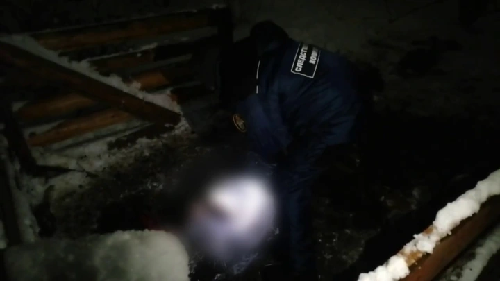 В Подмосковье найдены жертвы богородского маньяка