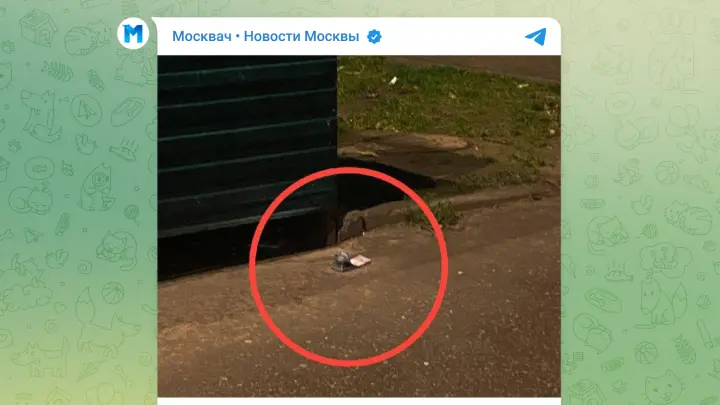 В Подмосковье взрывчатку замаскировали пачкой 5-тысячных купюр