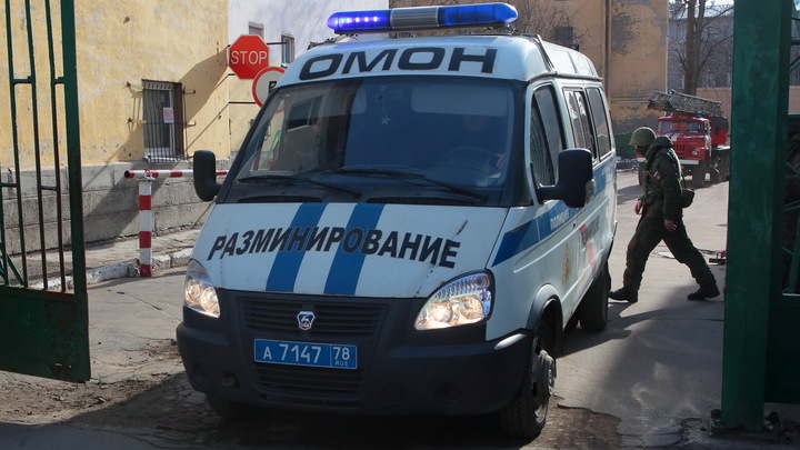 В школах Петербурга день сурка – уроки для 25 тысяч учеников с начала недели отменили минёры