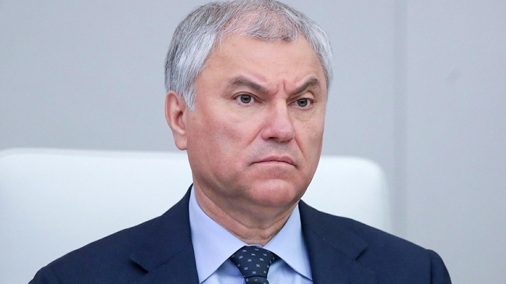 Володин: врачей и учителей надо убрать из профессий для упрощённого ВНЖ