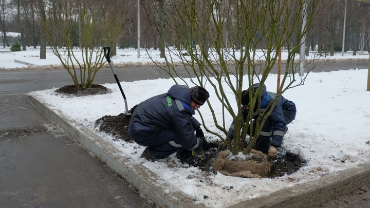 Потерявших работу в Курганской области займут общественным трудом