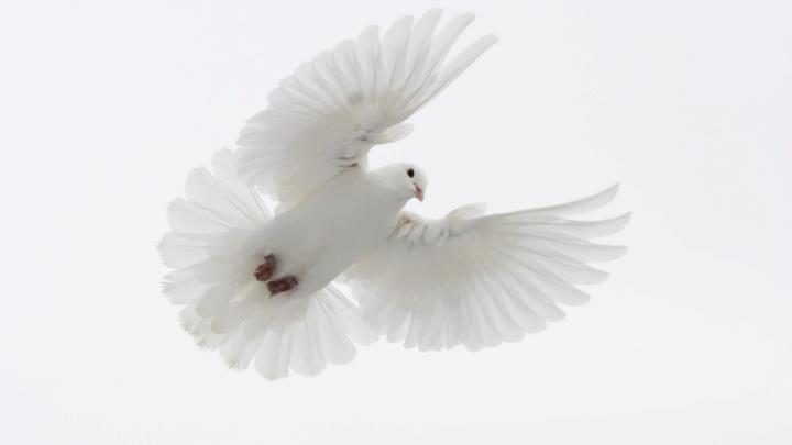 Что там - за чертой? Медсестра рассказала о видениях умирающих людей