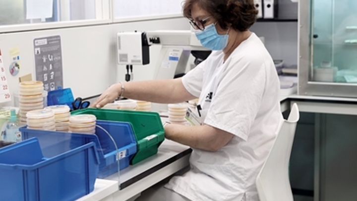 Очагов холеры на освобожденной территории Запорожской области не выявлено — Рогов