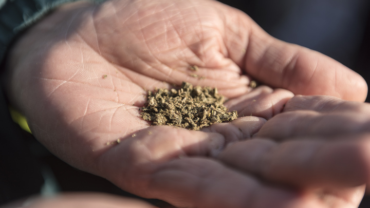 Полицейские задержали на Запорожье троих наркосбытчиков