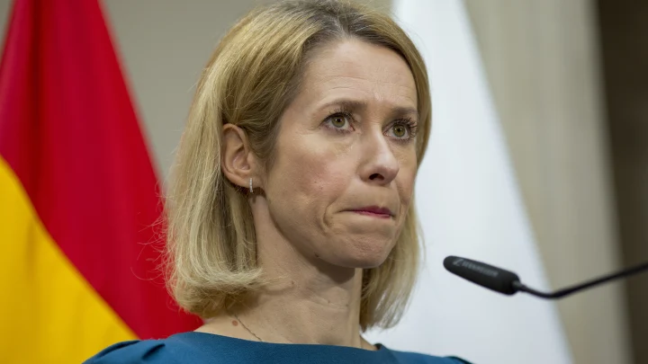 Пионерке Каллас надо было не прогуливать уроки: Депутат Госдумы устроил ликбез главе дипломатии ЕС