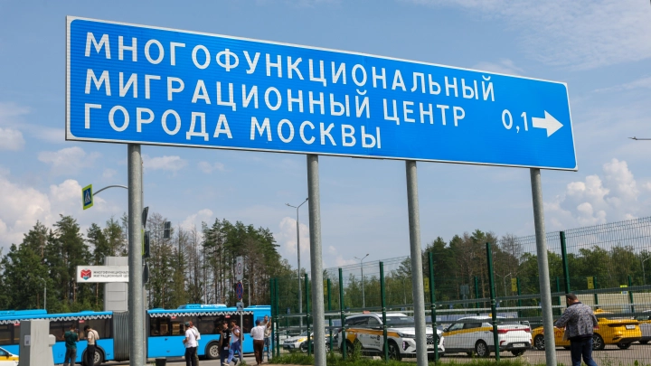 Член СПЧ Кабанов: атаки мигрантов в России –  только цветочки грядущих проблем