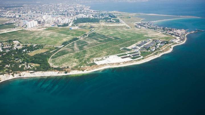 Власти Новороссийска согласовали проведение рок-фестиваля на особо охраняемой природной территории