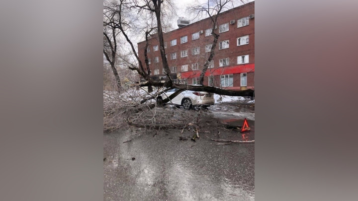 В Кузбассе сильный ураган ронял деревья на машины, срывал крыши домов и уносил теплицы с огородов