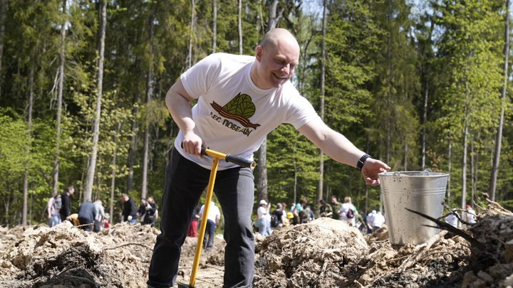 В Ельдигино посадили 26 тысяч сосен в память о жертвах войны