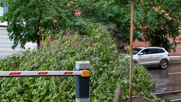 Незаконно установленные шлагбаумы демонтированы в Раменском округе Подмосковья