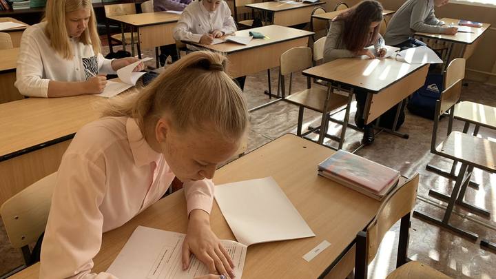 В школах Подмосковья начались ВПР: Какие предметы выбирают учебные заведения