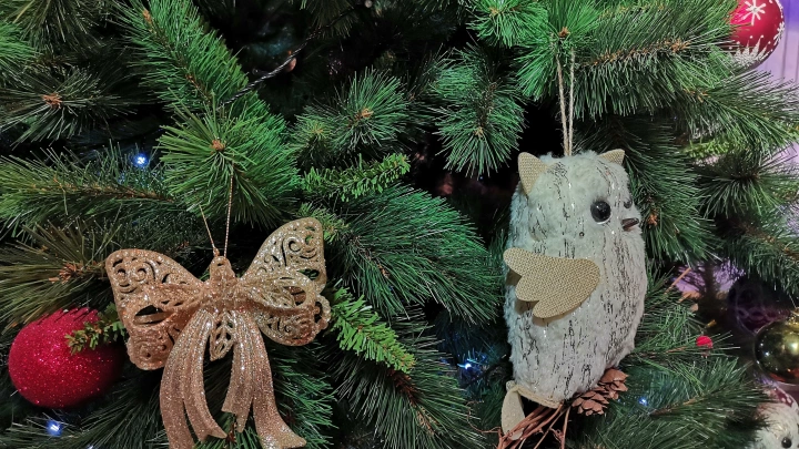 Техника три П: как правильно загадать желание в Новый год