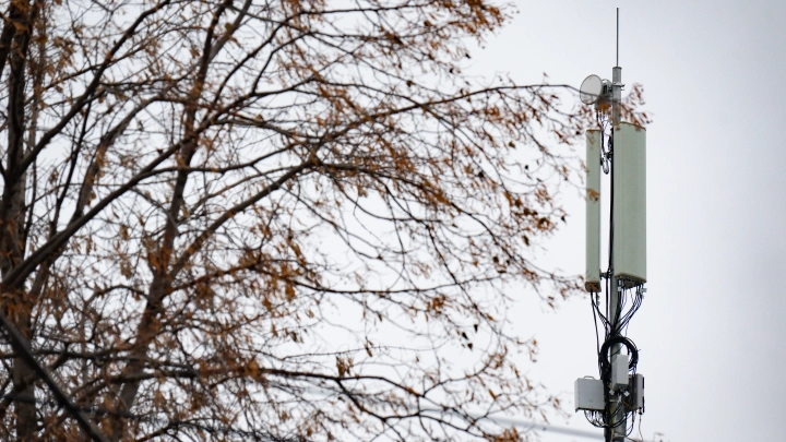 Аналитики назвали лидера рынка по внедрению LTE/5G-сетей