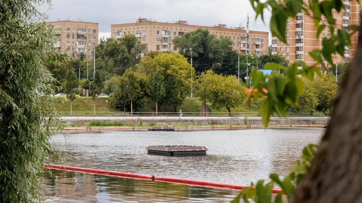 Для анализа зелёных насаждений в Москве используют новейшие технологии