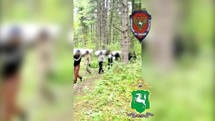 В Томской области задержали нелегальных мигрантов-сборщиков кедровых шишек